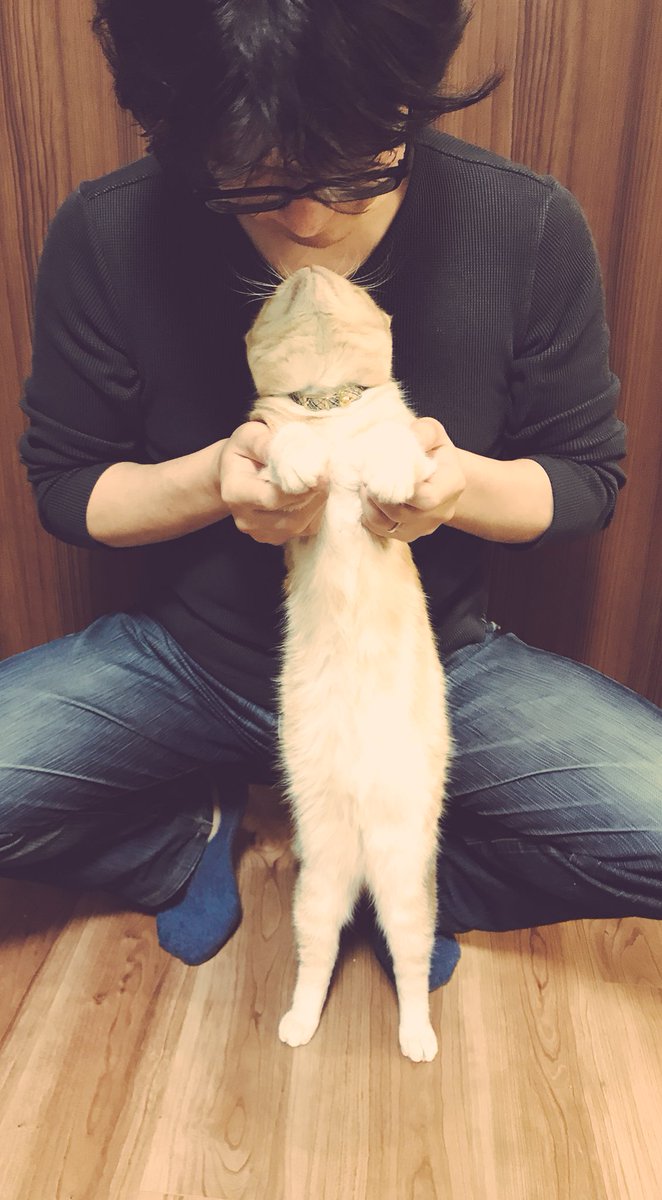川原慶久 全日本猫伸ばし協会というタグを見かけたので そっとタグをつけずに猫を伸ばす 君 短いな 川原慶久 全日本猫伸ばし協会というタグを見かけたので そっとタグをつけずに猫を伸ばす 君 短いな