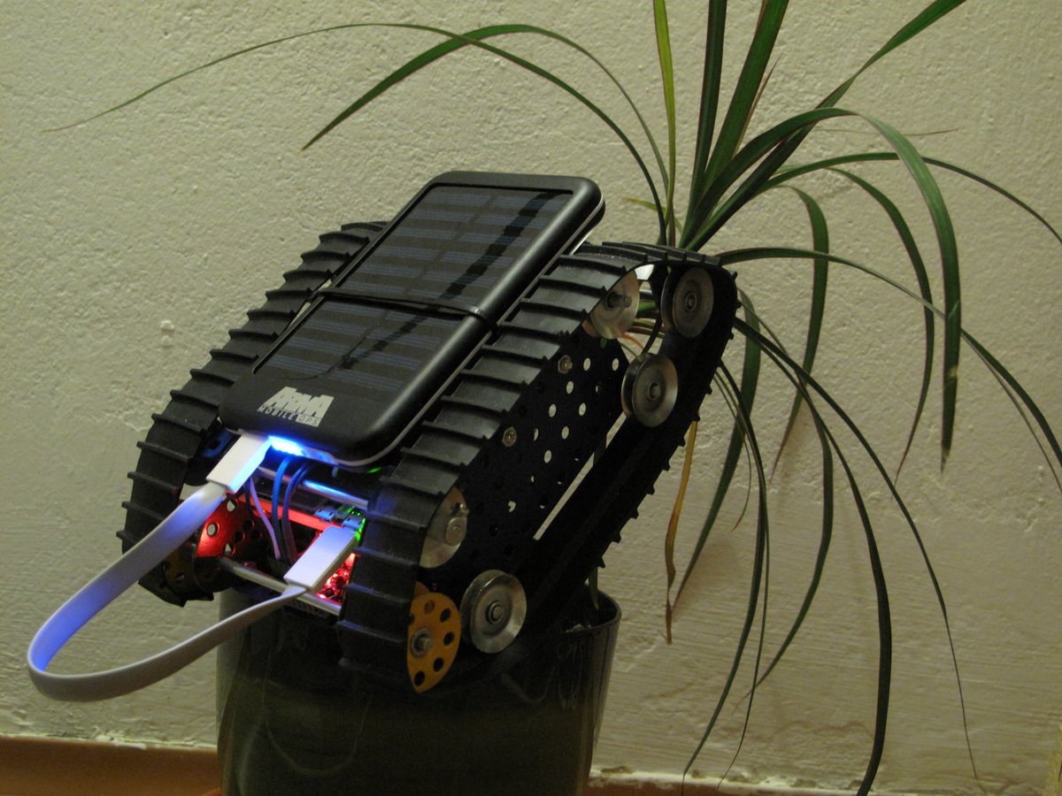 BohemiaPalmTree's tweet image. We are expecting the new Arma 3 Linux/Mac port update. You should be able to play it with vanilla version, well... until tanks come, and do, what they do best. (Molesting palms)