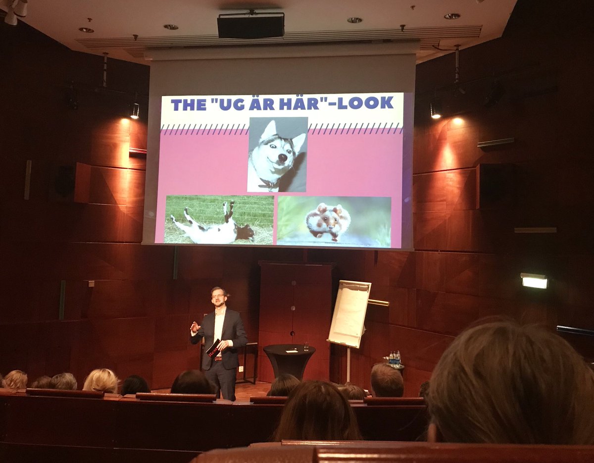 lilianpag's tweet photo. Max Landegård guidar oss mellan intressanta pass på #offkomm @BernsSalonger https://t.co/vZvj987pGO