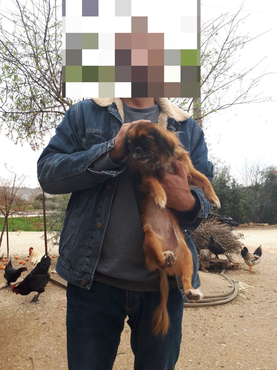 Hayvan sevdiğim doğrudur