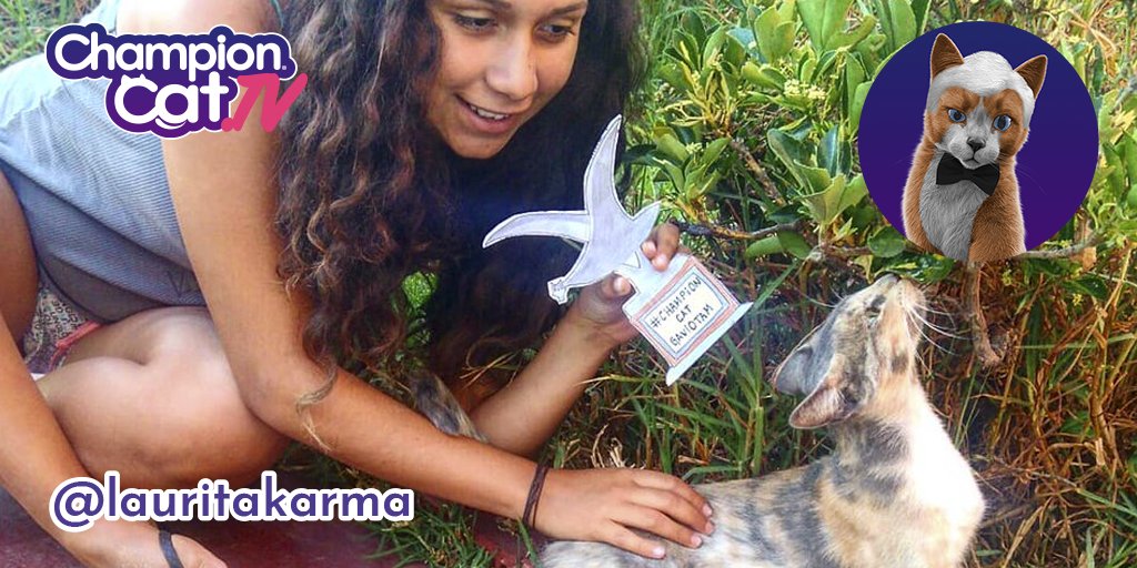 ChampionCatCl's tweet photo. ¡¡Humanom!! Porque con tu fotom demostratem haber logradom conquistar su cariñom... @lauritakarma eres la ganadoram de la #ChampionCatGaviotam y de un añom de su productom favoritom. https://t.co/NPY7f1FRbY