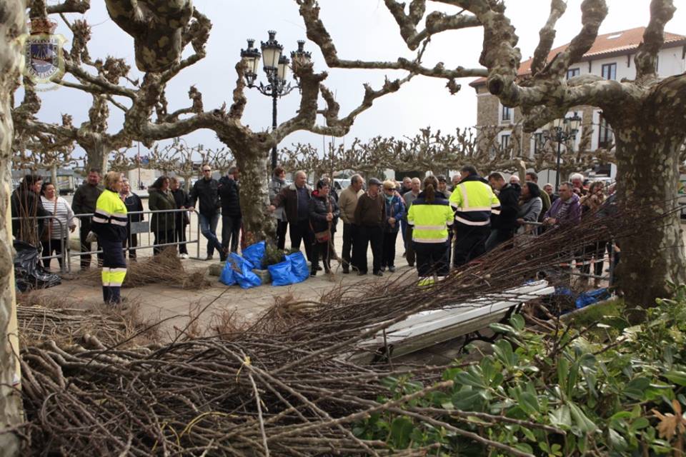 AytoSVB's tweet photo. El Ayuntamiento de San Vicente de la Barquera recuerda a todas las personas que solicitaron árboles, dentro de la campaña del Día del Árbol, que se realizará la entrega a partir de las 12:00h del 7 de marzo, en el exterior de la Casona del Cantón. https://t.co/yR6dic2rdF