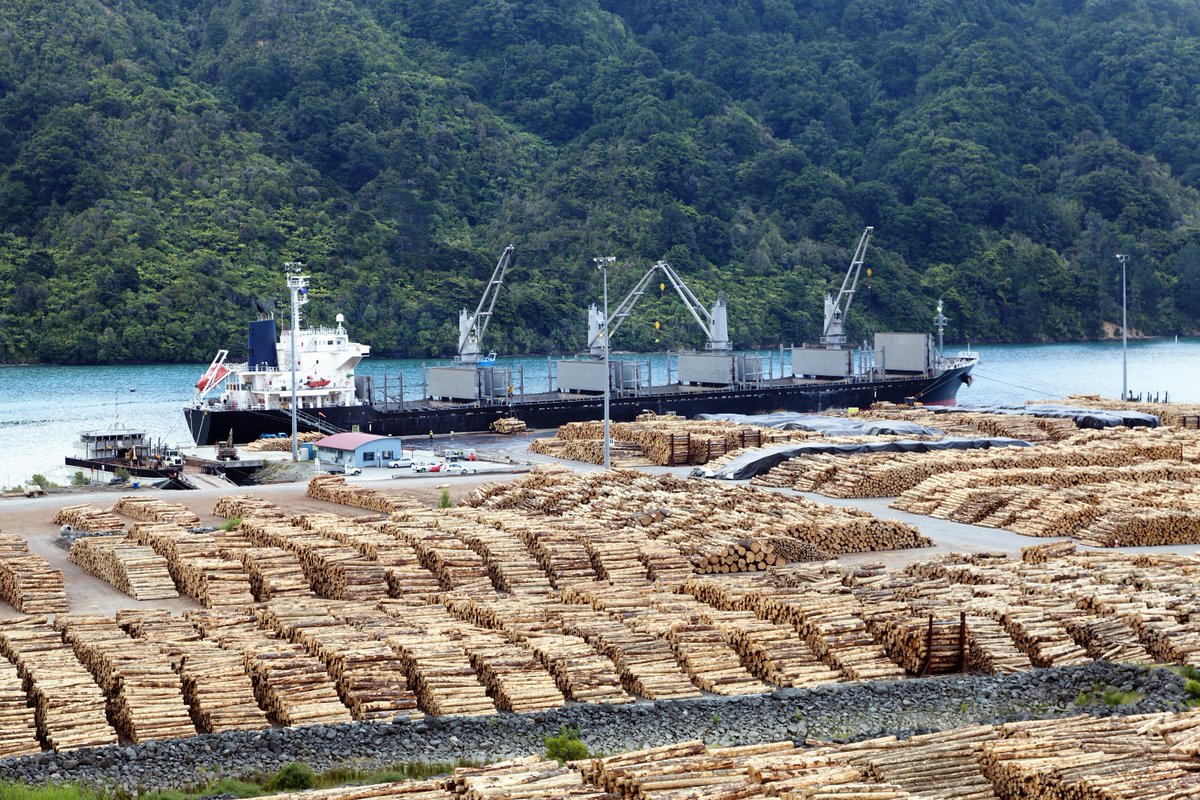 FIMServices's tweet photo. Softwood Lumber Prices Up by £10.
#softwoodlumber
https://t.co/yHXEMhPk87 https://t.co/YTp3Vt9ail