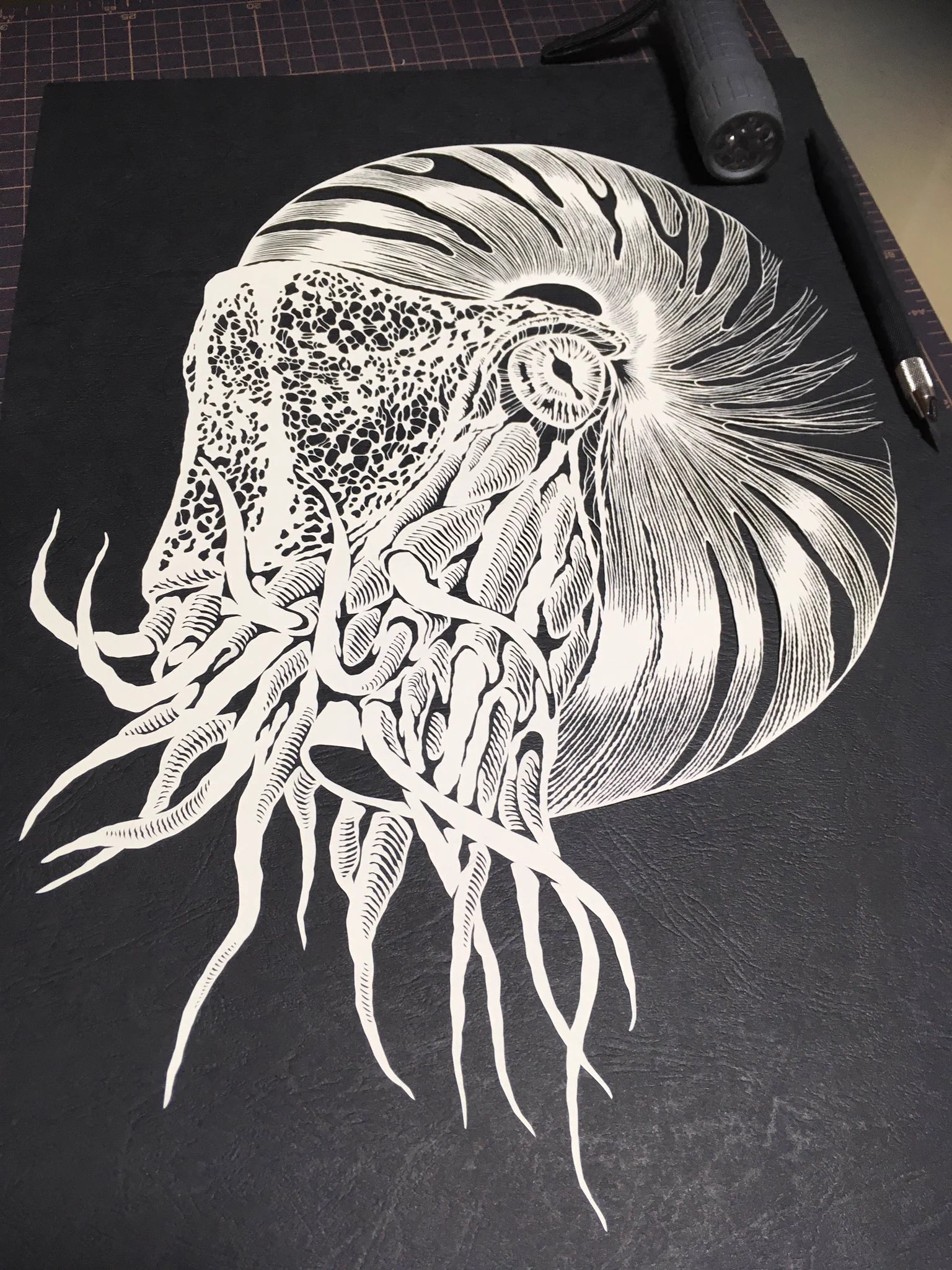 イラストにしかみえない！！！　切り絵で作られた繊細すぎる「オウムガイ」がヤバい！！