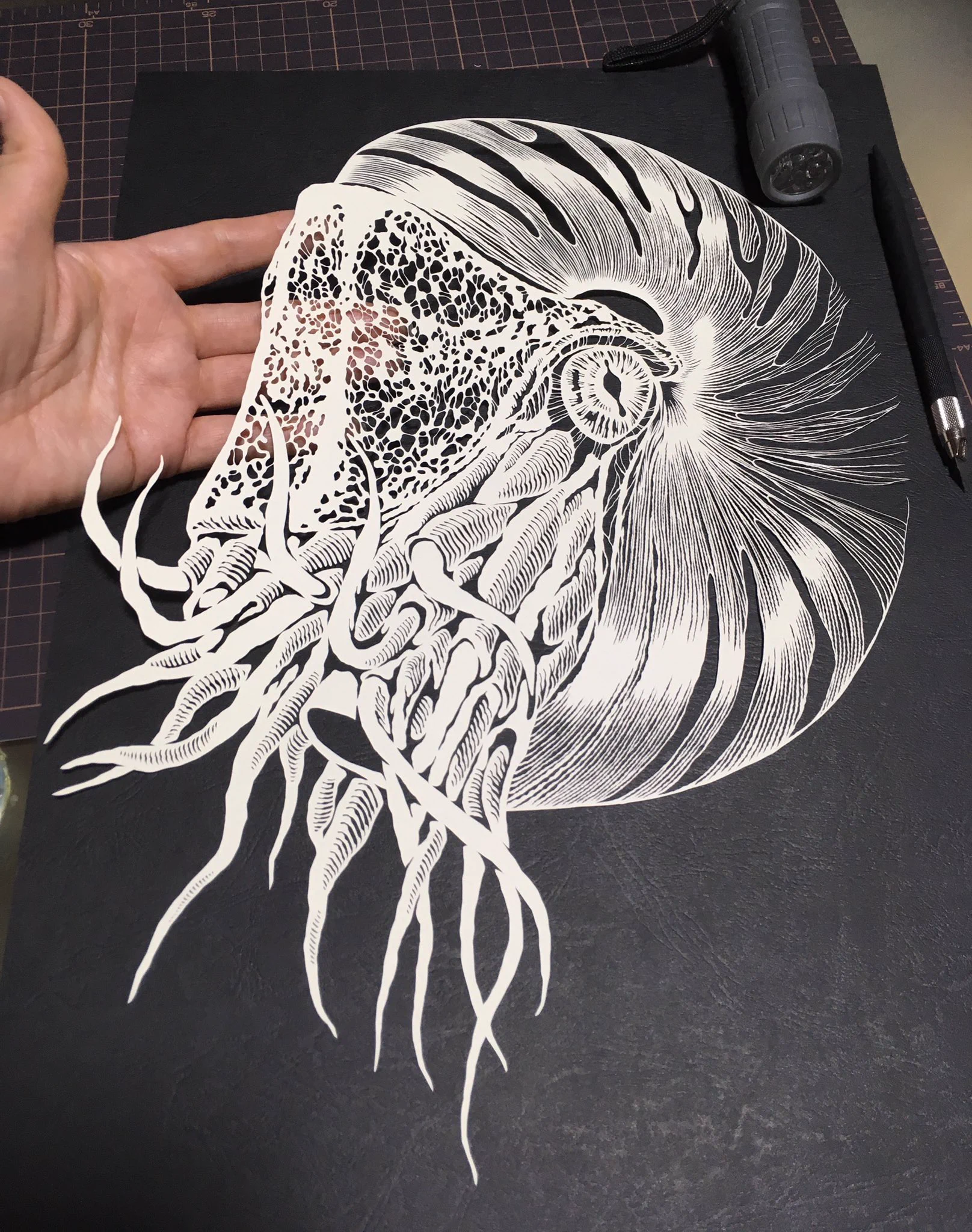イラストにしかみえない！！！　切り絵で作られた繊細すぎる「オウムガイ」がヤバい！！