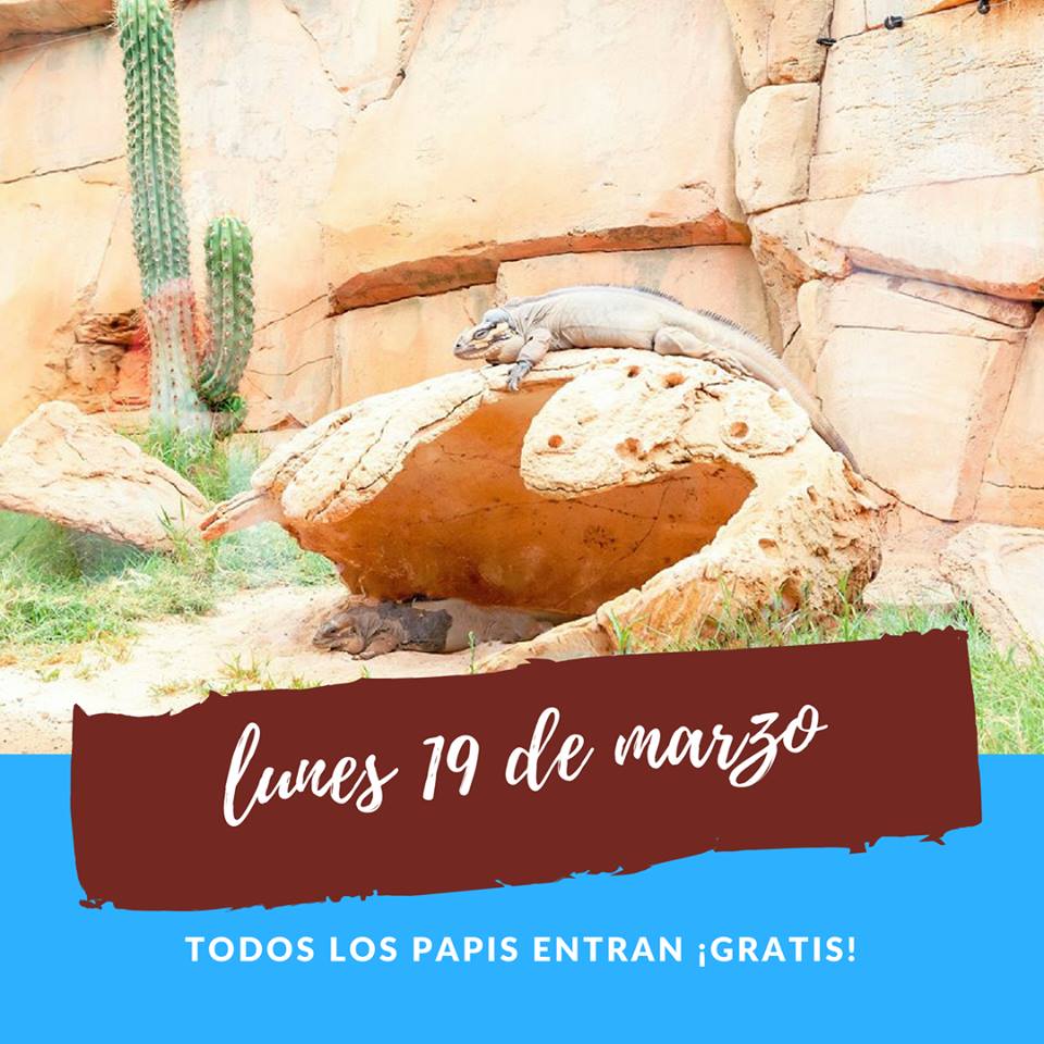 We love to see families together having fun, laughing and learning, 👨‍👩‍👧 that's why we are going to be giving free entrance tickets 🎟 on the 19th or March to all of the dads that come with their children, no matter their age. 
#SpanishFathersDay #DiadelPadre #FathersDay