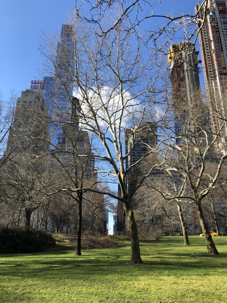 magnusang's tweet photo. I got spring feelings (finally) in New York...at least for some more hours, snow is cominâ in this evening! #newyork #c3ny #springfeelings #topvisible https://t.co/MduQn346cJ