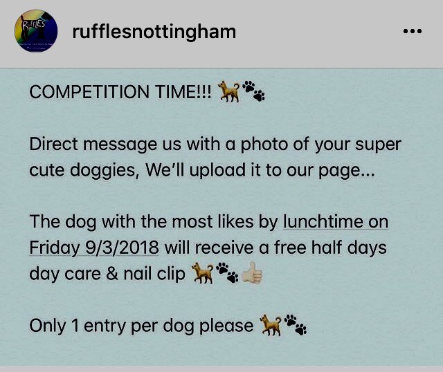 ruffles dog day care