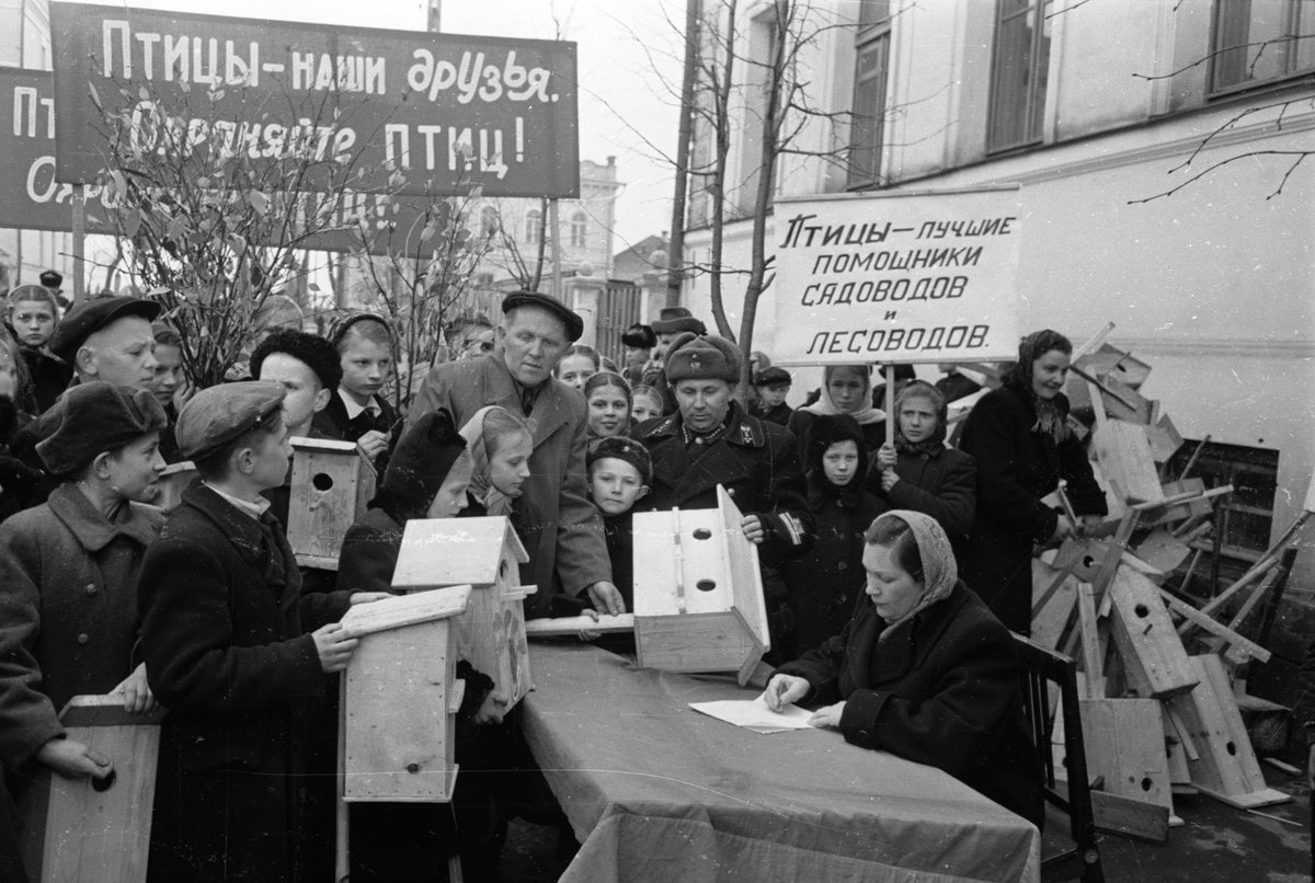 Sešdesmitie. Pavasaris. Bērni gaida gājputnus un taisa tiem mājiņas.