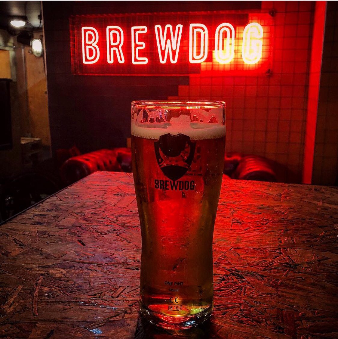 Ideal Pint tweet media