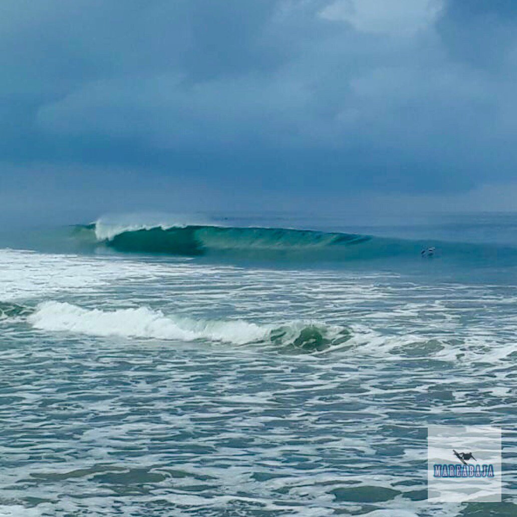 EcuaSurf's tweet image. Manglaralto 06/03/2018 07:30
📷calincho
#manglardelalma #picoftheday #olas #barrels #glass #waves #goodvibes