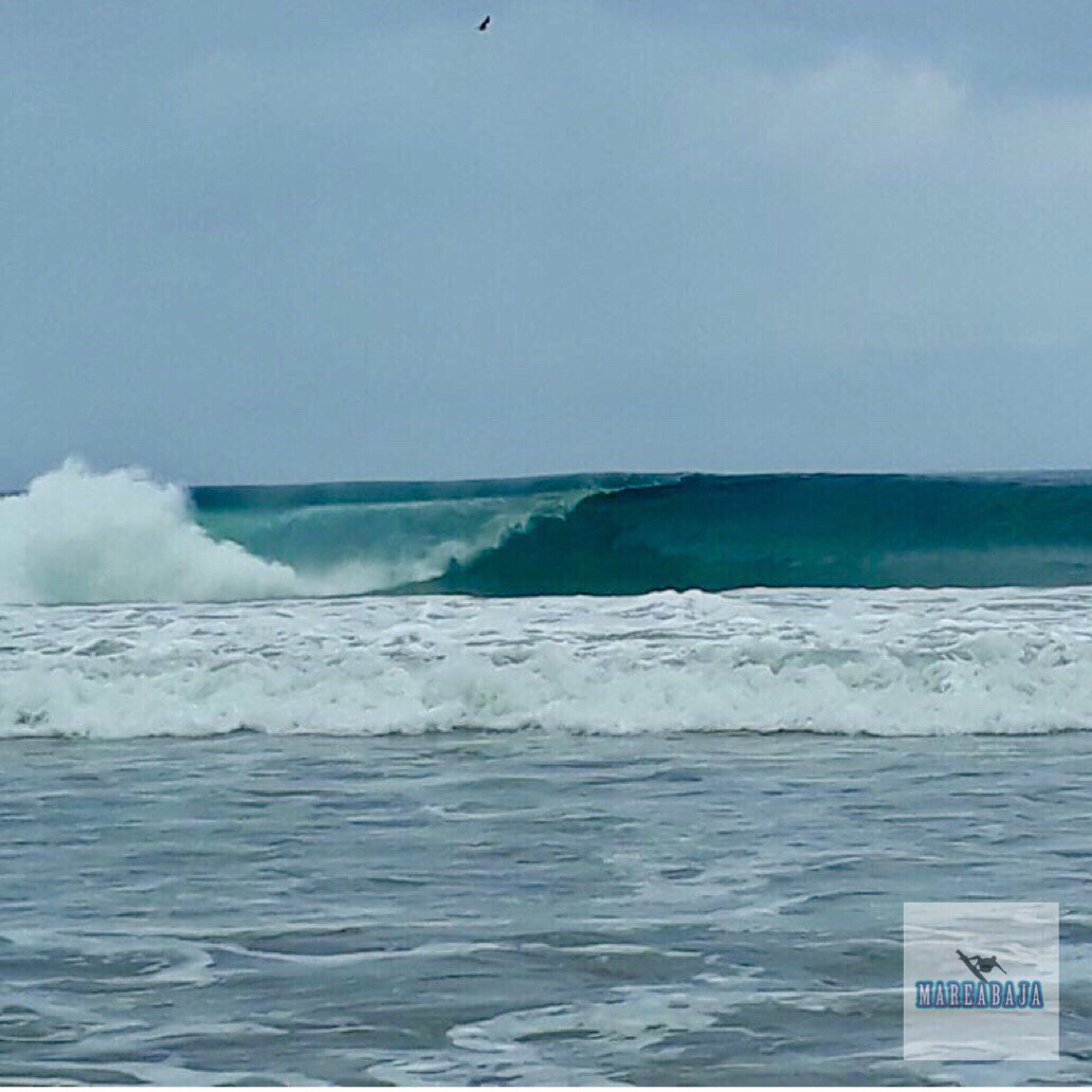 EcuaSurf's tweet image. Manglaralto 06/03/2018 07:30
📷calincho
#manglardelalma #picoftheday #olas #barrels #glass #waves #goodvibes