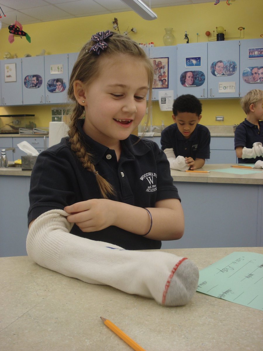 David Rogie tweet media