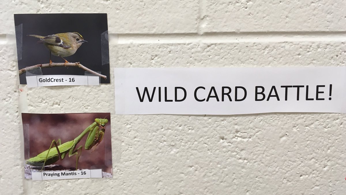 WHSpratt's tweet photo. First battle: March 12 @8pm, Wild Card round to enter the madness!! Goldcrest vs. Praying Mantis. Get yourself a bracket (WHS: Room B105)! #2018MMMletsgo #whywsbsd @WoodhavenHigh https://t.co/a7QkjFd3ZL