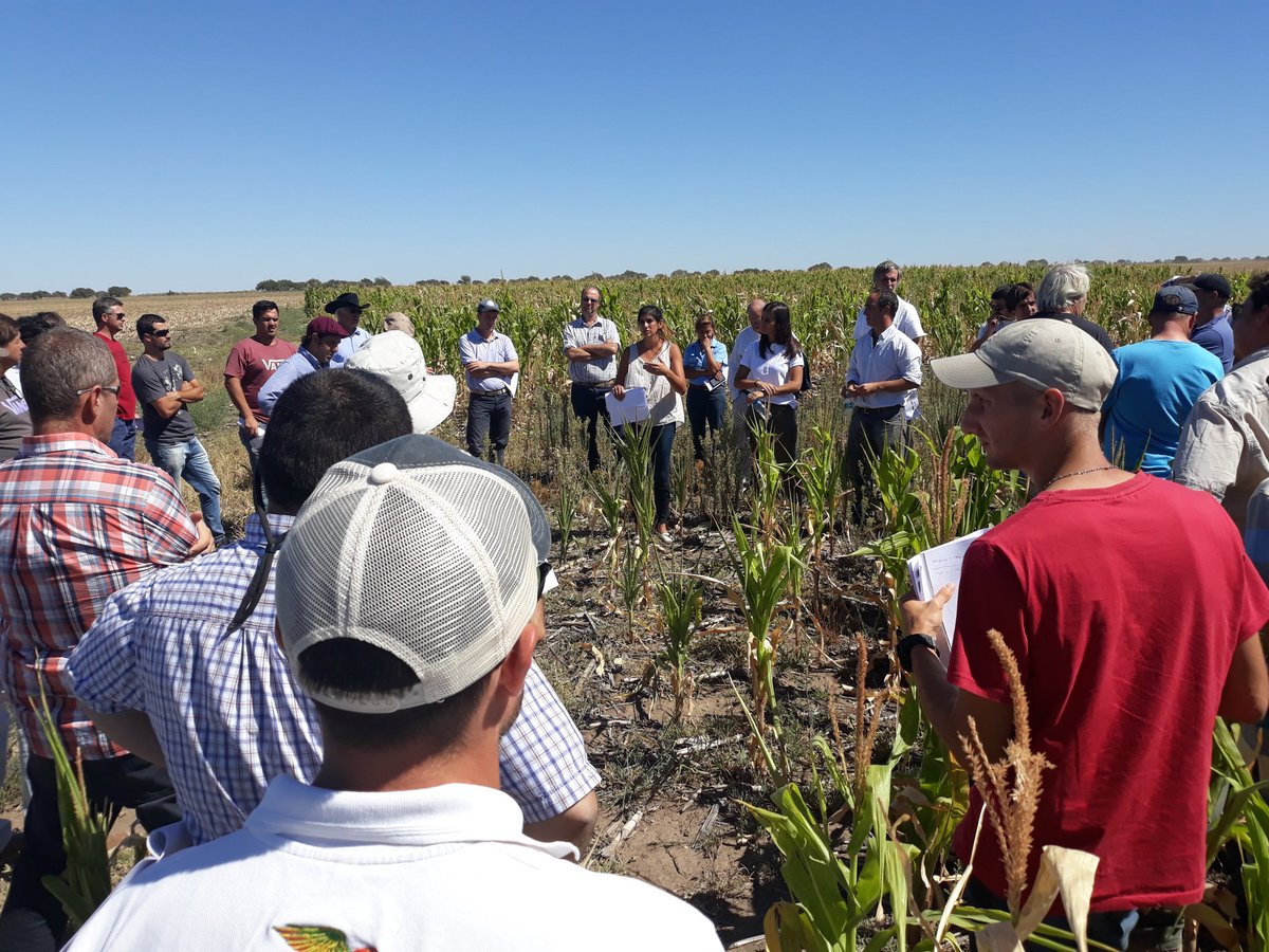 LihuelSartini's tweet photo. Muy buena jornada de recorrida e intercambios de conocimientos!   Felicitaciones x seguir apostando a las #bpas @joacbello @mariapaolini_ @crea_arg @AgroSprayAR #proyectomalezas #bpa #aplicacioneseficientes #pulverizacioneseficientes #excelenciaenpulverizacion #lihuel007 https://t.co/OJqGEA3ib7