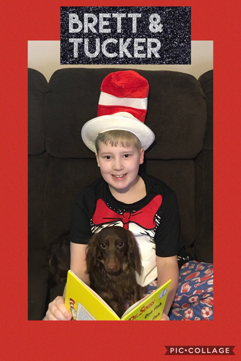 MrsAllisonEdu's tweet photo. The votes are in! Here are @westportcats Best Pets! During #mybookfair, we had students submit photos of them reading to their animals. We were able to donate $109 to a local animal shelter between our pet votes & selling “People Pet Food!” #spslib #whatwedo #readtopets https://t.co/EstYtMjzyQ