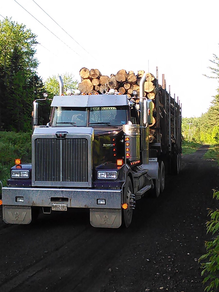 raneyschrome's tweet photo. How many trees do you think a log hauler moves in the duration of his whole career? Do you think you've moved a small forest in your rig? #trucking #loghauler #westernstar https://t.co/5qywH6AGT0