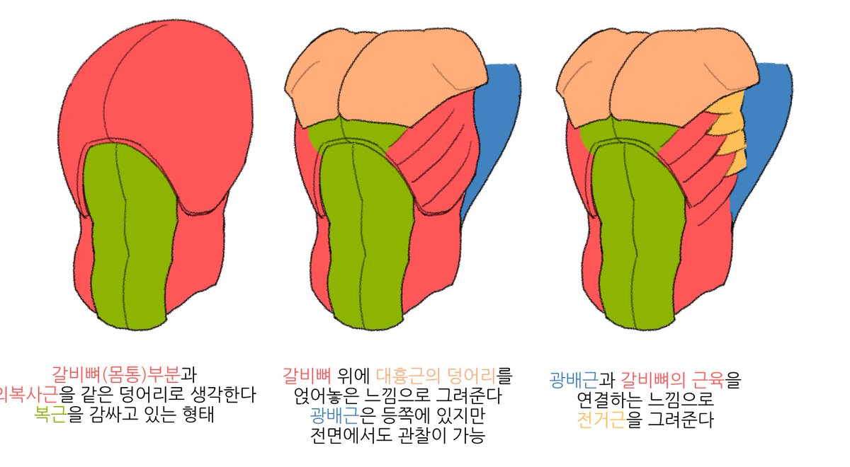 전거근 튜토리얼임니다 근육 명칭 몇개 모르는데 이거만든다고 한참 찾아봤네..ㅠㅠ그래도 잘 모르겠다(멍청) 