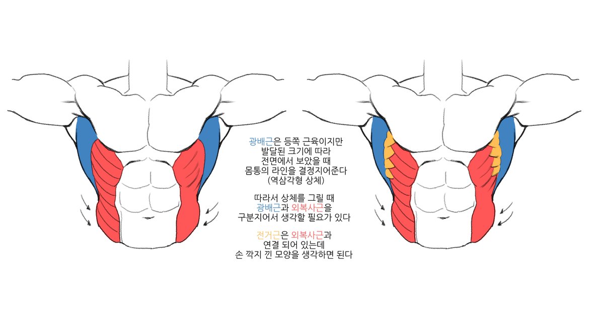전거근 튜토리얼임니다 근육 명칭 몇개 모르는데 이거만든다고 한참 찾아봤네..ㅠㅠ그래도 잘 모르겠다(멍청) 
