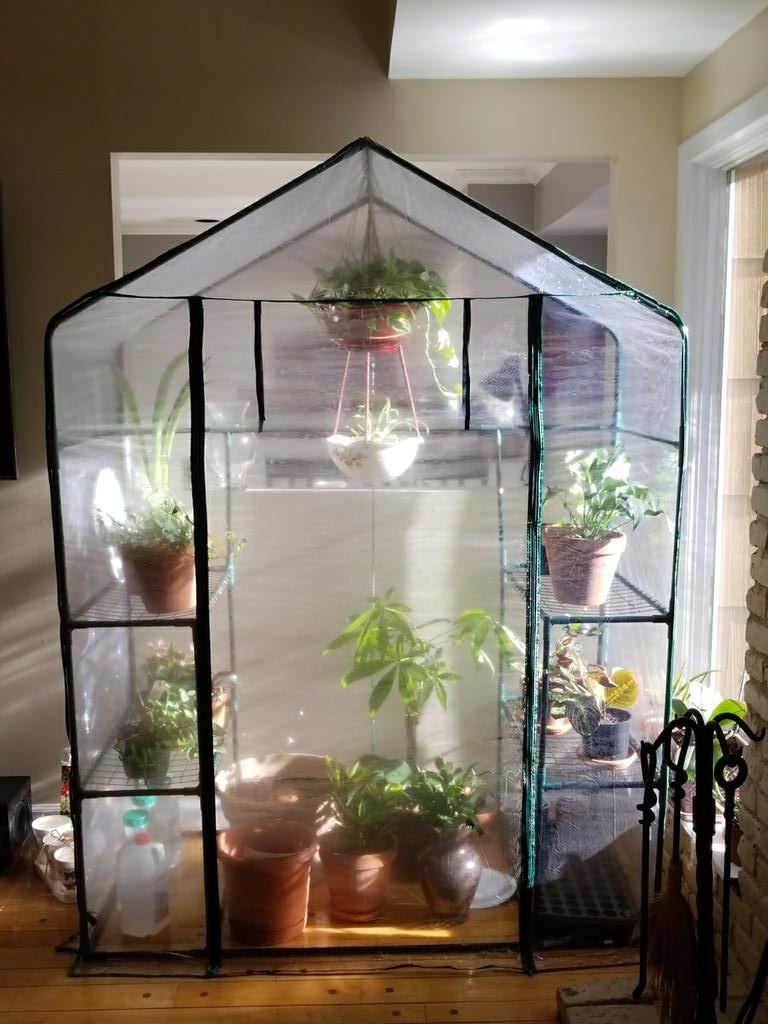 MrsGammaLabs's tweet photo. Don't you have a greenhouse in the middle of your den?#preppingforspring #Snowmageddon #organicgarden https://t.co/hnJSnt2T45