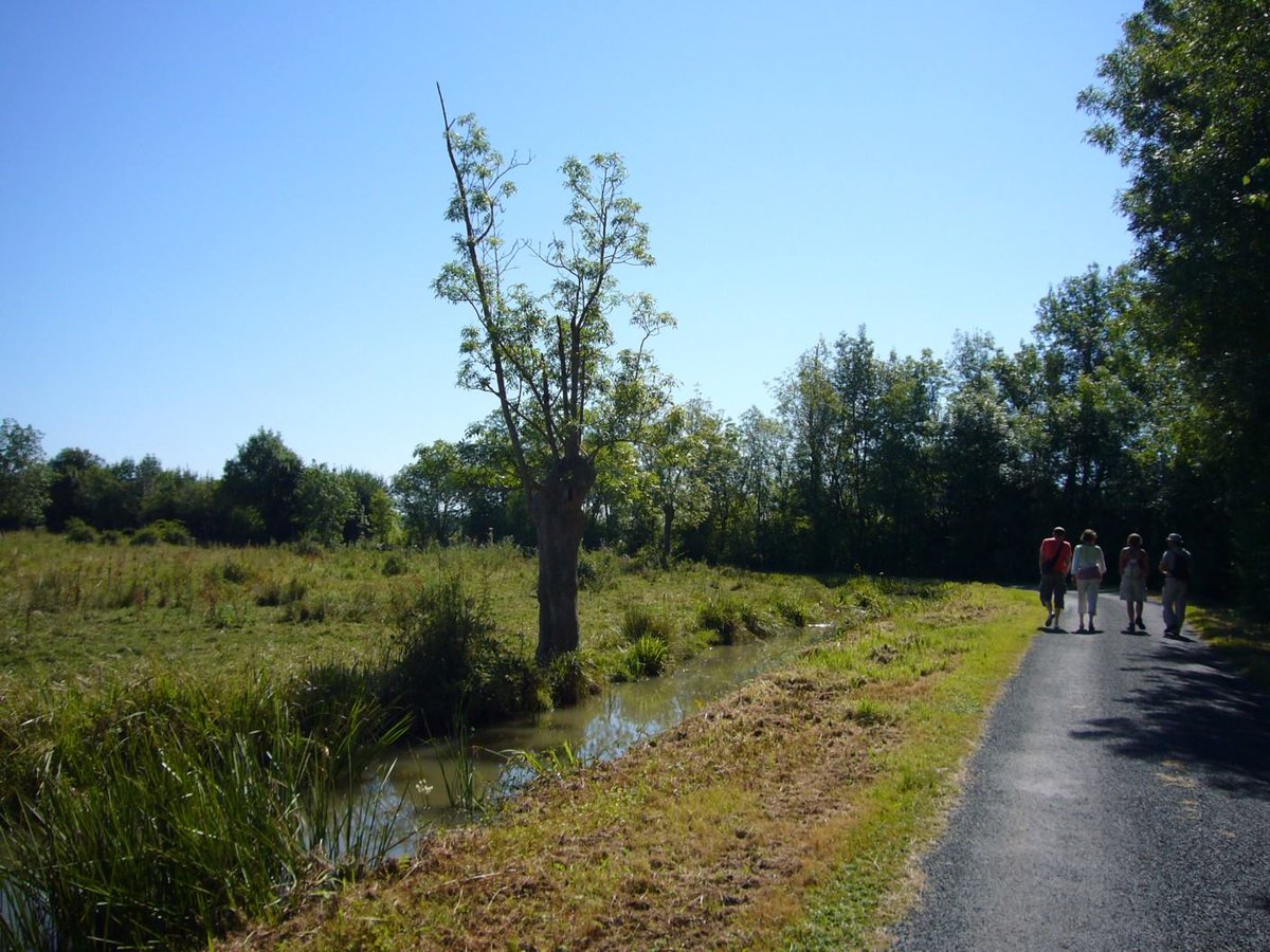 departement17's tweet photo. #IDsorties | Balade de 3km pour découvrir la #biodiversite d'un marais typique (arbres têtards, fritillaires pintades, cigognes...).
Au #PôleNature de la Pierre de Crazannes, le 18/03 à 14h.
https://t.co/CNZ5eUdaIw https://t.co/HhJ8kpSyrU