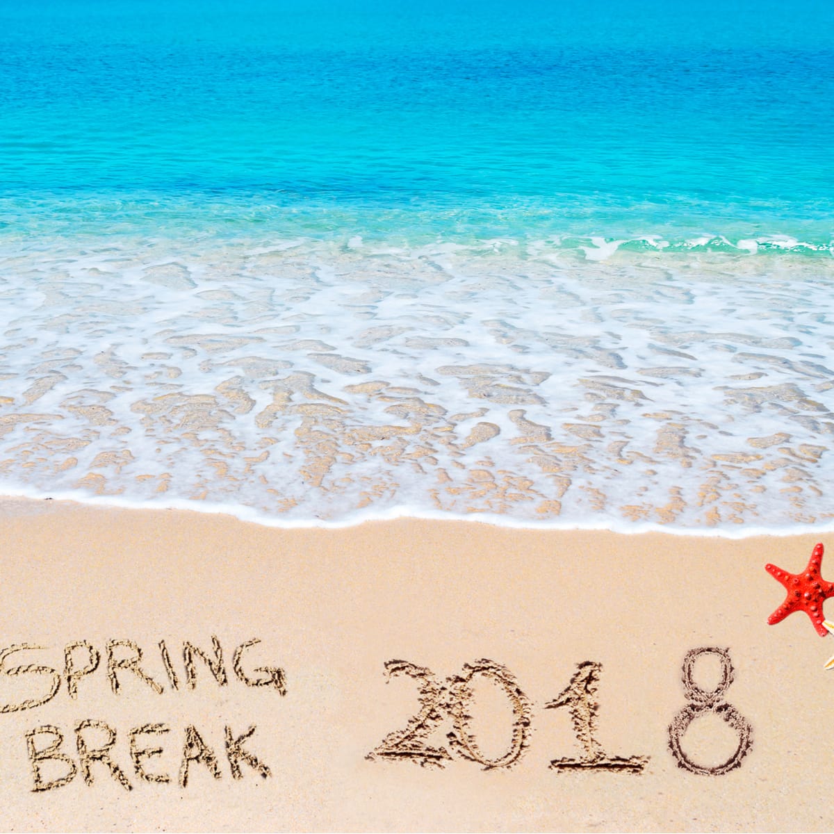 atlascredit's tweet photo. Spring Break is here!! 
 Atlas Credit wants you to enjoy it to your full advantage!
 Stop by our office today and apply for a loan! https://t.co/Ur29g6Ir95