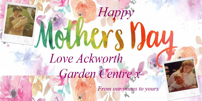 Ackworth Garden Centre have some great gifts in for #Mother's Day.
 
Check them out here: goo.gl/kAwpGm