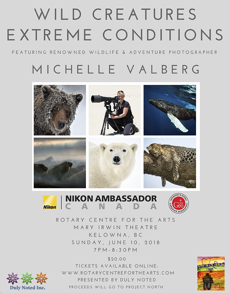 We are proud to announce renowned wildlife photographer Michelle Valberg will be showcasing Wild Creatures Extreme Conditions at the Mary Irwin Theatre Sunday June 10th!
Join us for an evening of adventure!
Tickets are only $20 and available at: goo.gl/6Vm9WC