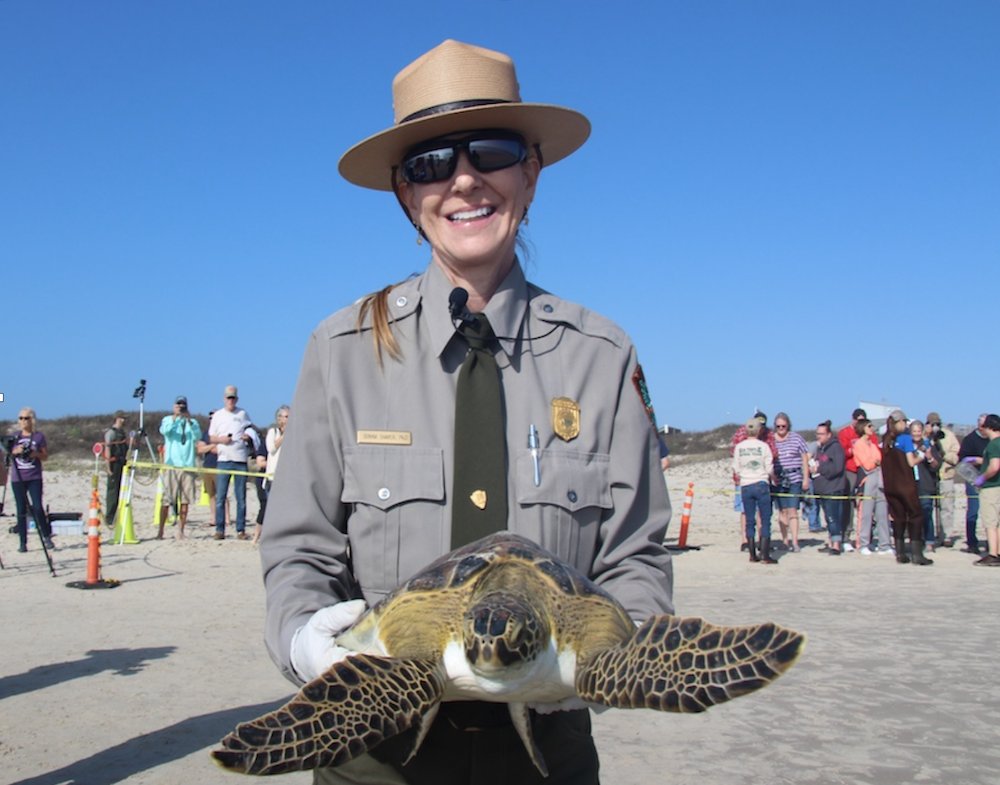 CCBusinessNews's tweet photo. Congrats to Donna Shaver @kempsdjs at @PadreIslandNPS for her Lifetime Achievement Award. @NatlParkService @SeaTurtleInc @conserveturtles @turtlenews #turtlenews #saveseaturtles https://t.co/XTLemLYunK
