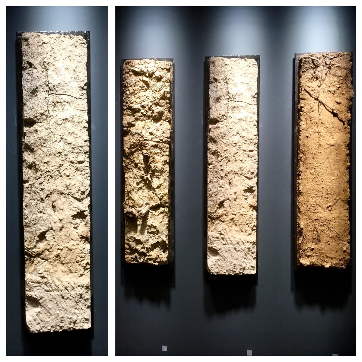 WorldSoilMuseum's tweet photo. This soil from Ghana is a poorly drained floodplain soil (Gleysol, WRB) #ISRIC #CSIR. Wishing Ghana a happy Independence Day! https://t.co/wrW7kKJAbL