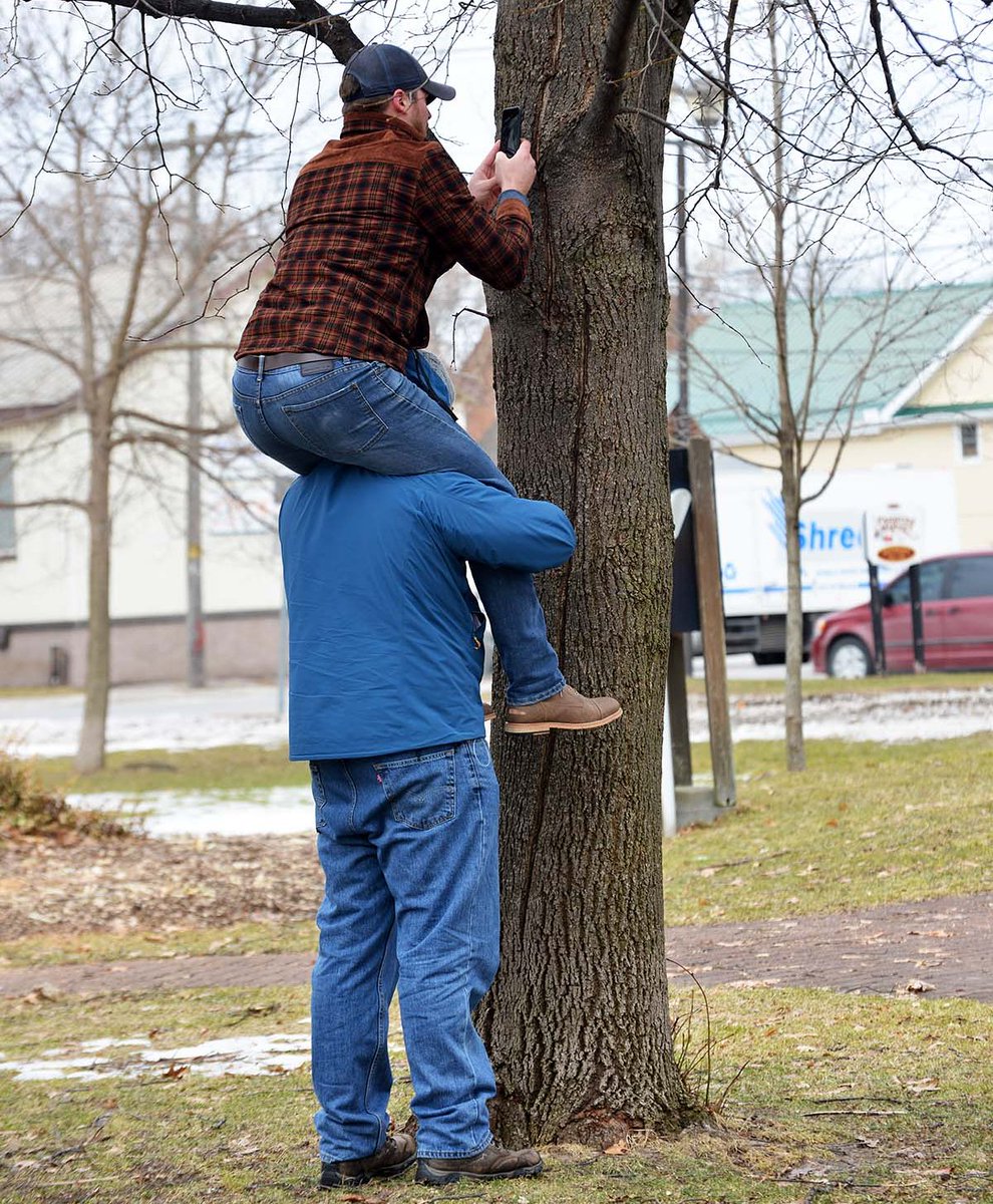 arbortom's tweet photo. @ontarioextend Sometimes you need to work together to reach a little higher #oext103 #oextend https://t.co/9vAz0pgCRg