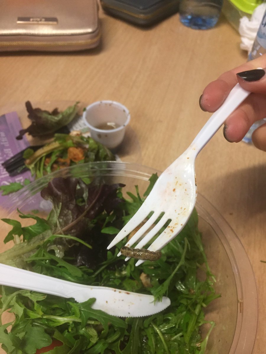 Siobhra123's tweet photo. @TescoIrl wow I am utterly shocked and horrified, just found this insect in my salad. Not so washed and ready to eat. Absolutely disgusting. https://t.co/C2mY6T5oJE