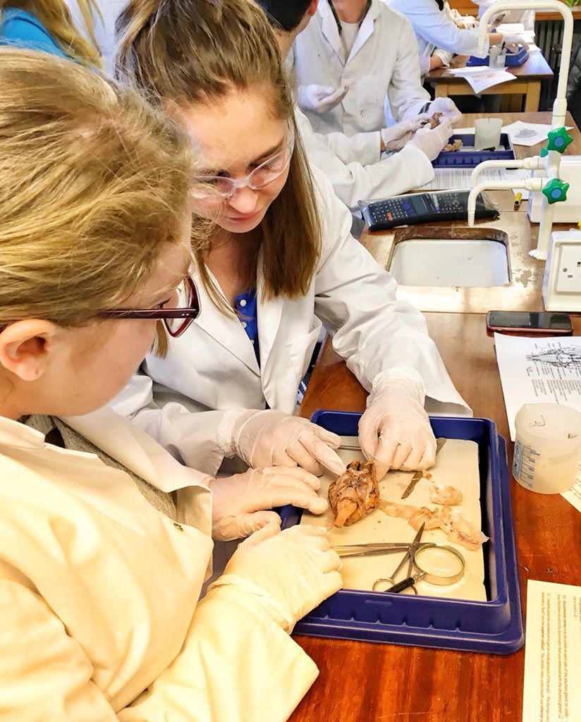 Science &amp; maths enrichment week in full swing at lunchtime today. Lab L was full as 2 sixth form students led A-Level biology &amp; psychology students through a brain dissection. Hugely impressive work from Olivia and Michael.