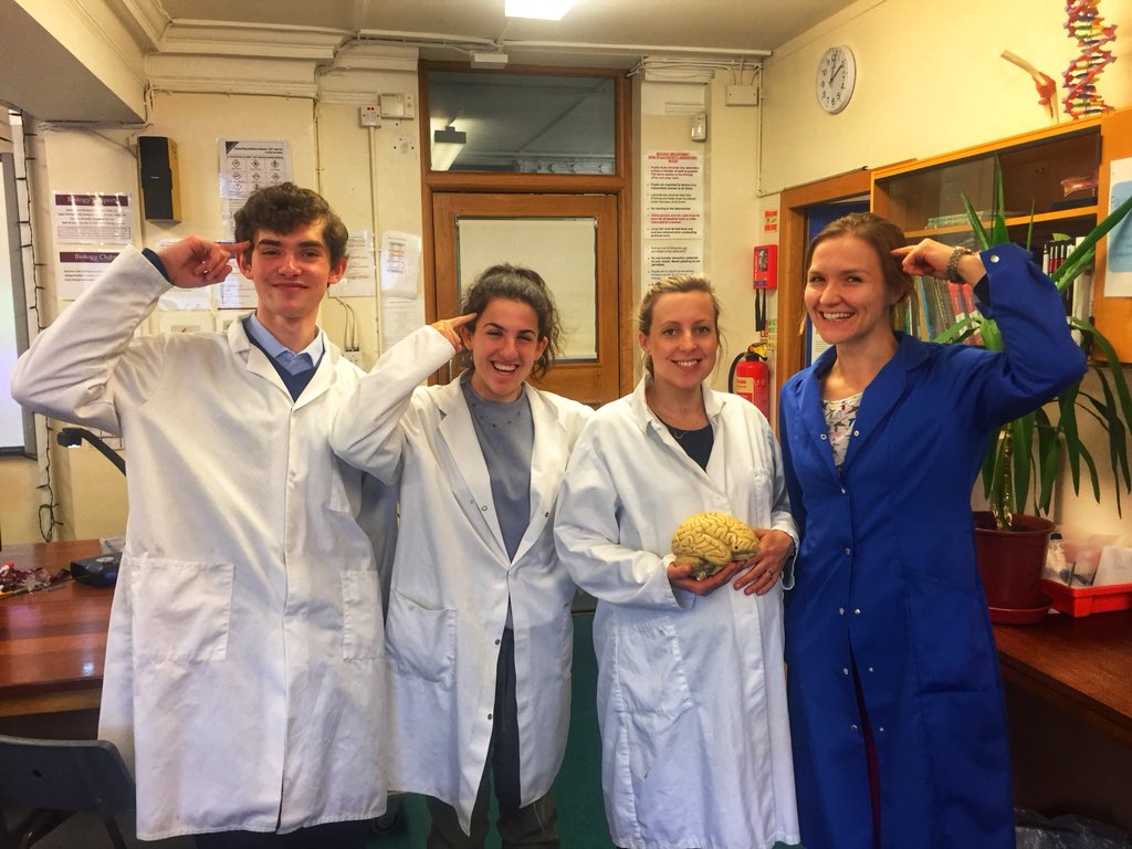 UCS Hampstead tweet media