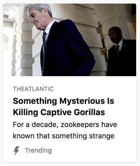 zachp's tweet photo. Why is no one talking about what Robert Mueller is doing to these poor gorillas?! https://t.co/oGcBkHkAFe