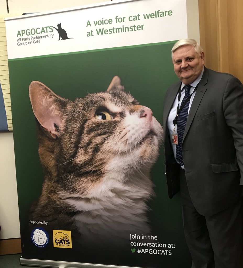 Please to have been elected a vice chair of the All Party Parliamentary Group for cats. About time I say, and the biscuits were extremely appropriate as well. @CatsProtection #APGGOCAT