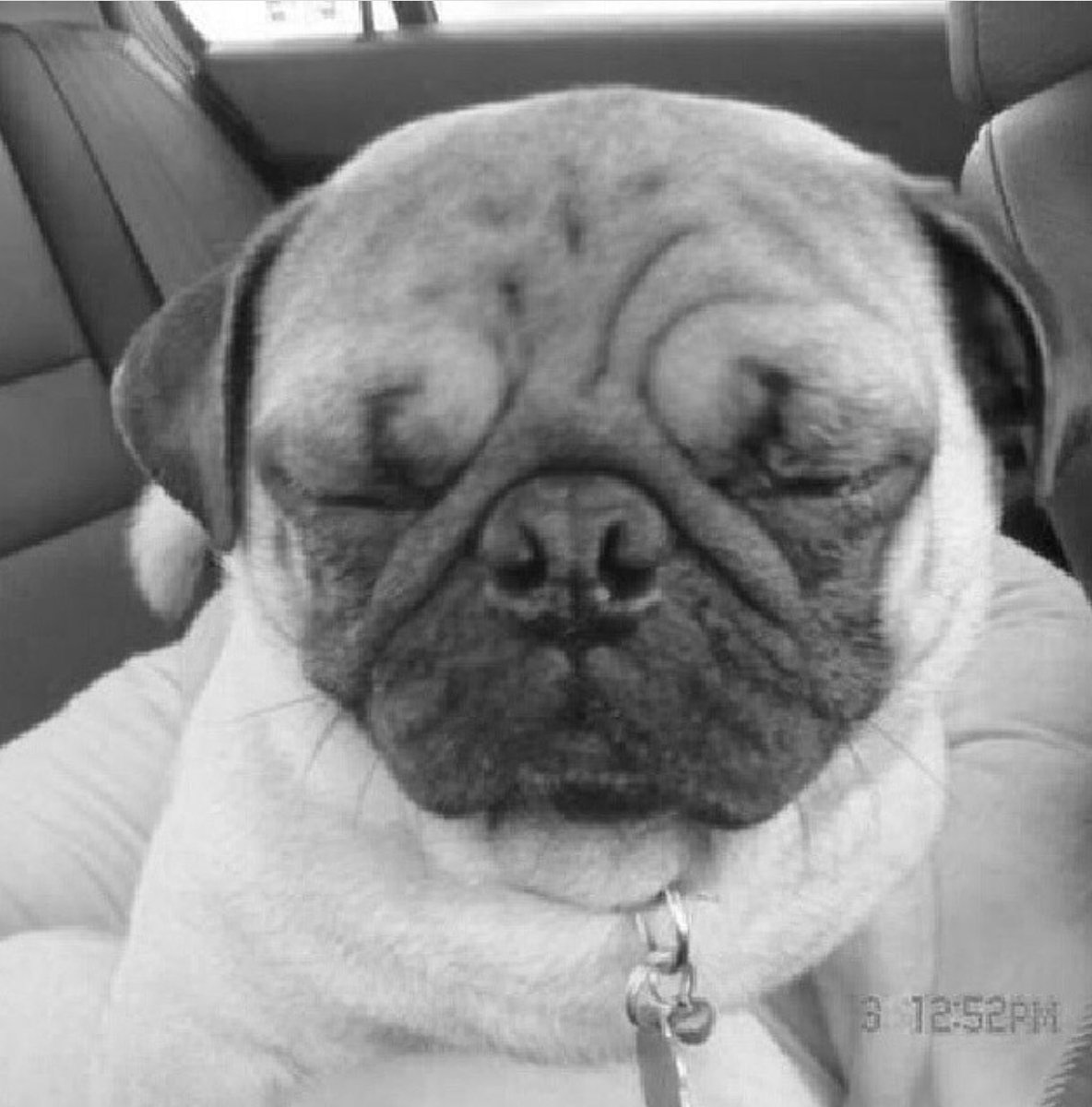 February 3, 2007 - the day we found each other. It was love at first sight.