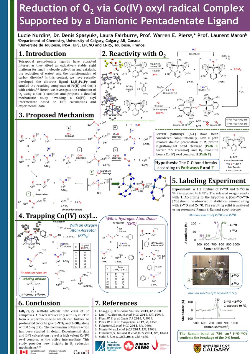 lucie_nurdin's tweet photo. There is my most recent PhD work with @wpiers1 on the "Reduction of O2 via Co(IV) oxyl radical complex supported by a dianionic pentadendate ligand". Don't hesitate to ask questions on the mechanistic studies. #RSCPoster #RSCInorg Thanks for organizing the conference again. https://t.co/O3nGJ8vtoD