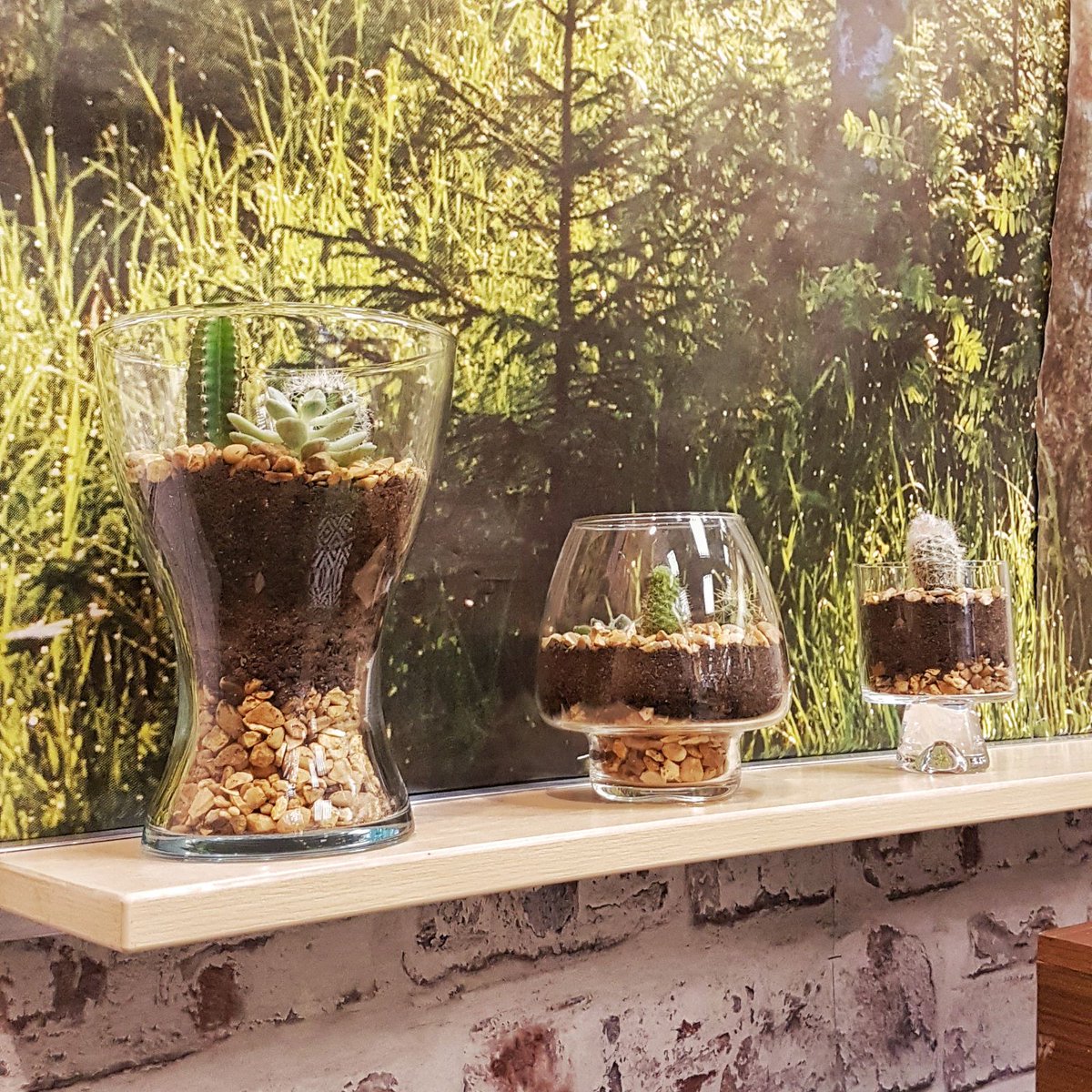 #retro style meets #cacti meets #Literature - LAUNCHING <a href="/SapPlants/">Sap Plants</a> in our store today!