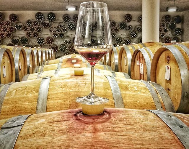 This is the @roccafiore's wine cellar in  Todi - Umbria.
Thia is a small organic winery that is becoming one of the most important in the entire region in therms of quality. What I had in that glass was a really pure Sangiovese. 🍷 ift.tt/2D7e96g