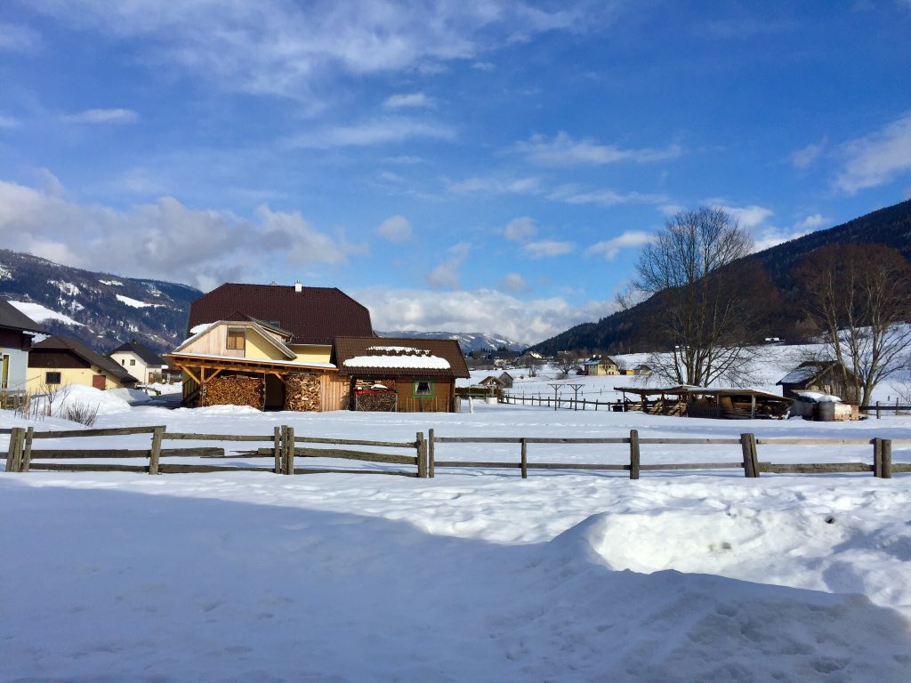 GarryWhite's tweet image. Current status #SkiSore