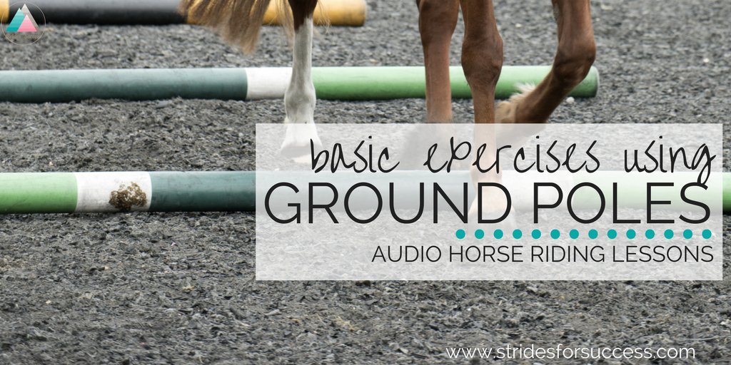 LornaLeeson's tweet photo. How often do you work over ground poles in the arena? #Freebie #Horseriding #Equestrian #Schooling #Horse #Pony
https://t.co/lvDGMk2PCi https://t.co/Lzd4AmGUMe