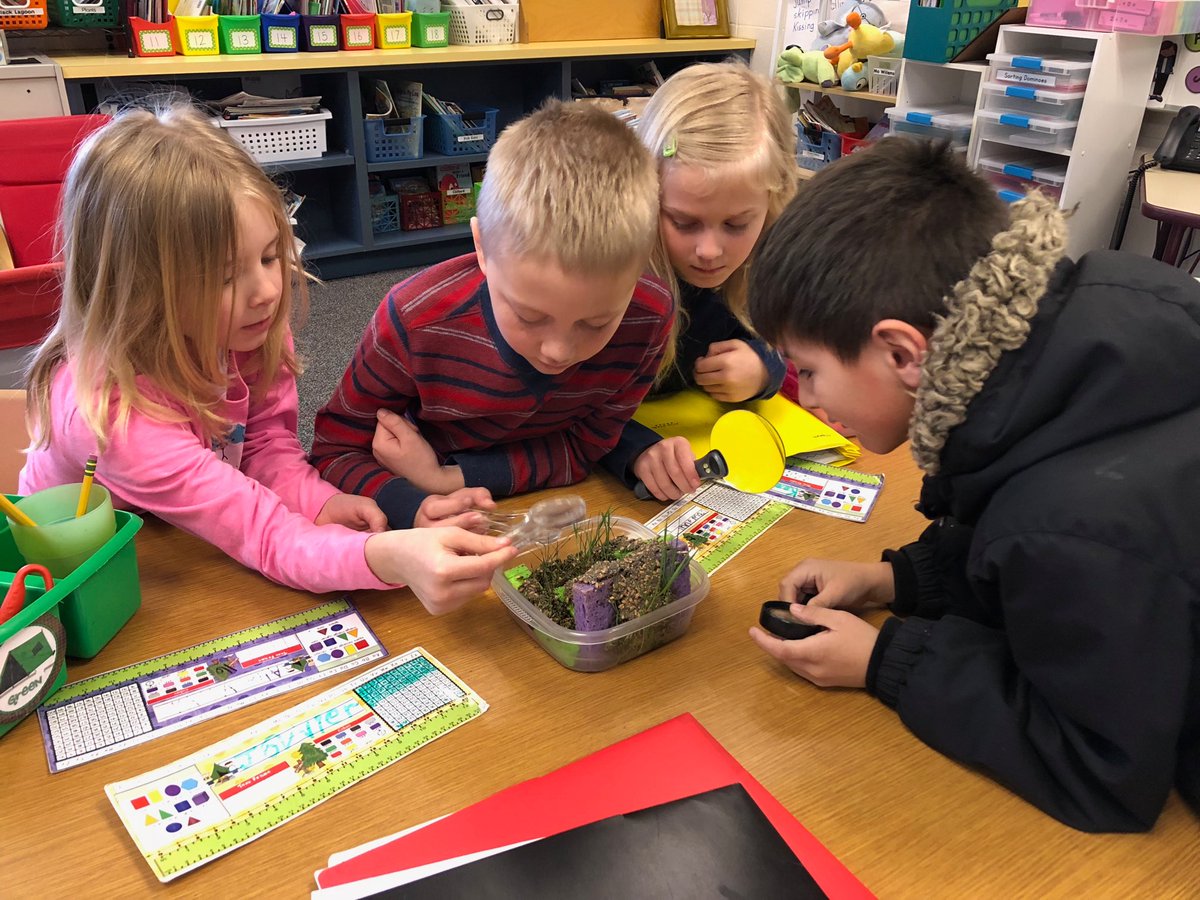 MrsKosky's tweet photo. We are taking 1 last look at our Seed Houses before we throw them out. The houses have also offered us a great unexpected lesson on mold growth too! PU! #kanelandkss #kaneland302 @MrsLee125 @MrsHay124 https://t.co/UCg8H0Eq3F