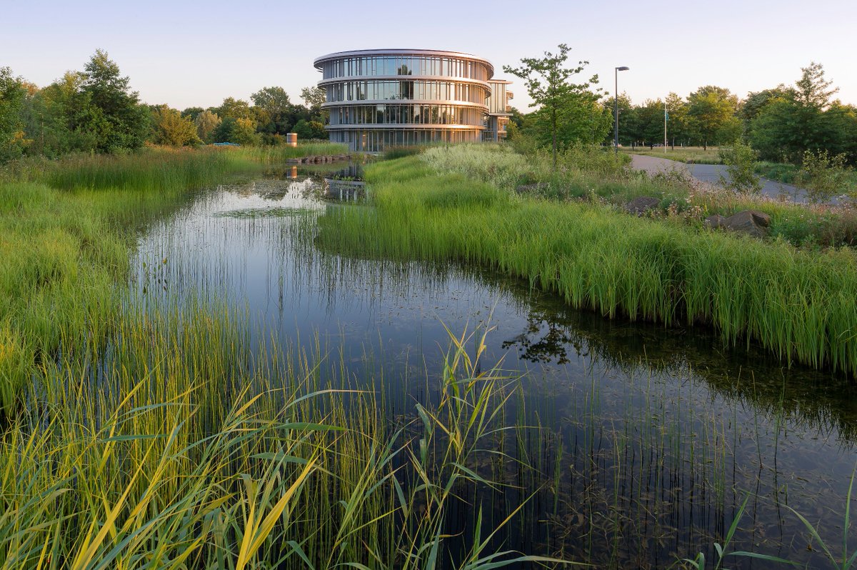 De lente is weer aangebroken en het is weer tijd om mooie projecten te  starten, de productieafdeling staat weer klaar om alle relaties te  voorzien van de bestelde materialen. ook de voorraad is op peil zodat  wij iedereen kunnen bedienen.