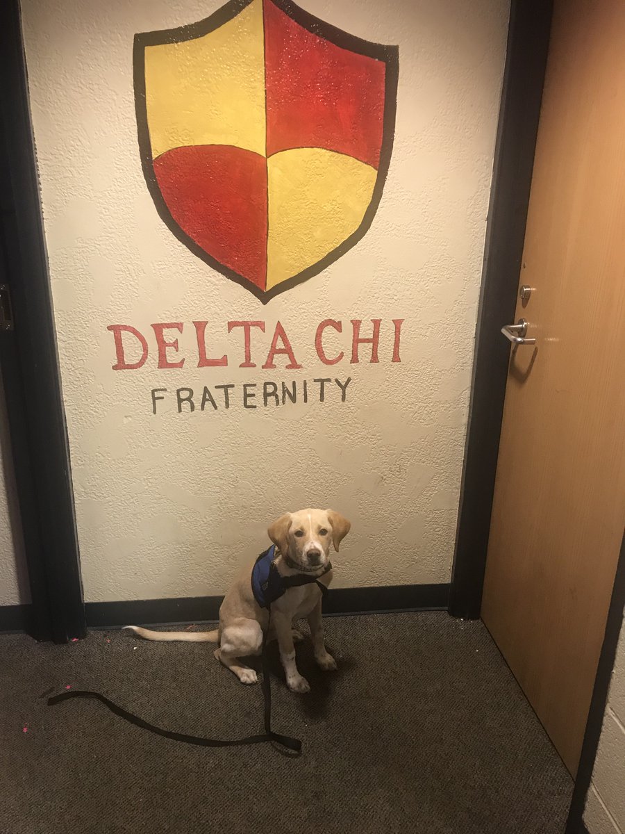DeltaChi_UPJ's tweet photo. Meet the brother of the week!!! #btmfl https://t.co/ILdY5P0BSI