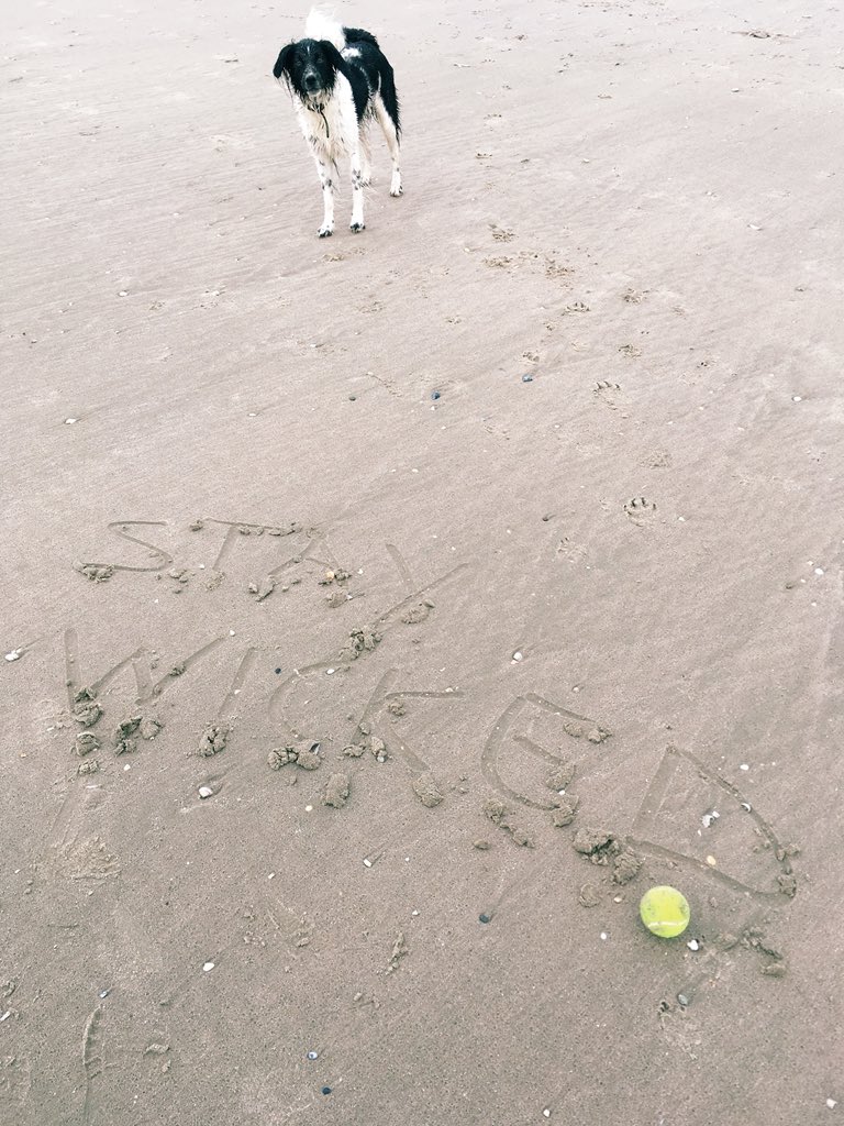 Gerda_2211's tweet photo. I wrote Stay Wicked in sand 💚🌟 my dog is wicked, isn’t it? 

but... buy your shirt, Pretty! #wickedsupport 💪🏼

I’m sure you’ll feel wicked if you’re wearing the hoodie or shirt! 😍

@bexmader #StayWicked https://t.co/tJStu6QaLr