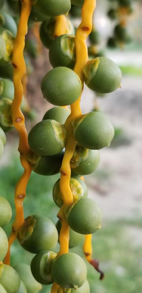 abdullahupdate's tweet image. By #Galaxy_Note_8
#Samsung_Note8
#Note8
@SamsungMobileSA