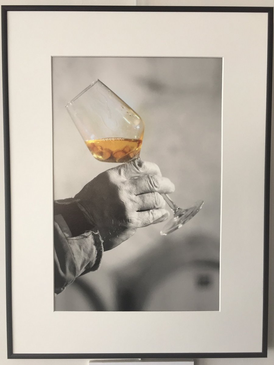 Lieux3's tweet photo. Le Restaurant de Les3Lieux accueille l’exposition photographique de Michel Rondeau « Nos Voisins Vignerons ont du Talent »#Photos #vin #vignerons #anjou #jaimelanjou #destinationangers #Loire #guidemichelin2018 #gastronomie https://t.co/p3Z6kteW2q
