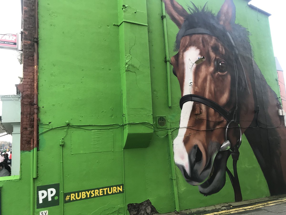 Maliepaard's tweet photo. Great bit of marketing from @paddypower #rubysreturn https://t.co/jhywwBsYoy