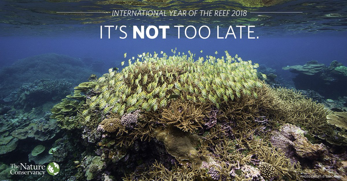 ocean_wealth's tweet photo. It’s not too late to save coral reefs. Reefs are resilient, and science is changing what we know about how to save them. #IYOR2018 https://t.co/awF5AtcRL3 https://t.co/jDjplEl2Px
